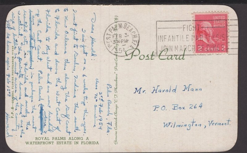 Florida - Royal Palms along a Waterfront Estate pm1954 ~ Chrome