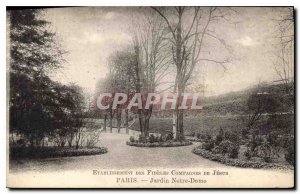 Postcard Old Garden Paris Notre Dame