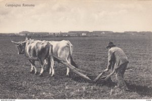 Campagna Romana , Italy , 1900-10s