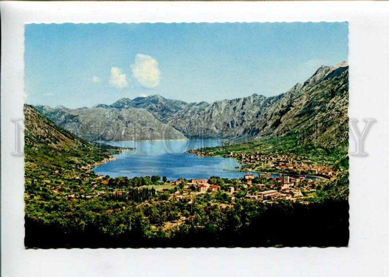 3142844 Montenegro KOTOR Panorama Old photo postcard