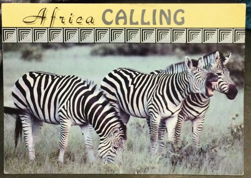 Zimbabwe Zebra Hwange - posted 1994