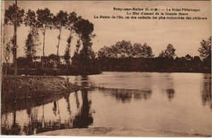 CPA BRAY-sur-SEINE - La SEINE Pitt. (120329)