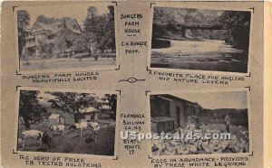 Bunger's Farm House - Ferndale, New York NY Postcard
