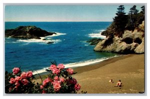 Vintage Postcard OR Pacific Ocean Seacoast Oregon