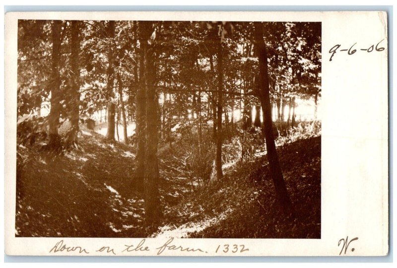 1906 Forest Scene Down On The Farm Appleton Wisconsin WI RPPC Photo Postcard