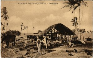 PC CPA VENEZUELA, PLAYAS DE MAIQUETIA, VINTAGE POSTCARD (b11015)