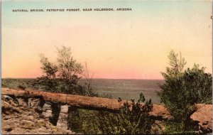 Natural Bridge, Petrified Forest Near Holbrook AZ Hand Colored Vtg Postcard T53