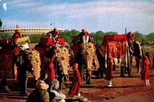 VINTAGE CONTINENTAL SIZE POSTCARD ELEPHANTS ON REPUBLIC DAY PARADE INDIA 1979