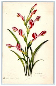 c1910 Gladiola Flower South African Flora Tuck Art 6691 Antique Posted Postcard