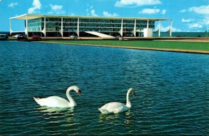Brazil Brasilia Highland Palace Swans On Lake