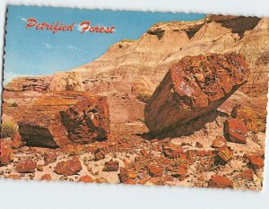 Postcard Petrified Forest Logs Northern Arizona USA