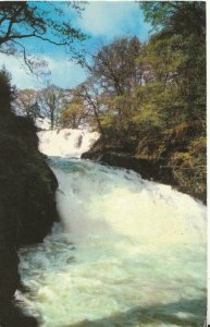 Wales Postcard - The Swallow Falls - Betws-y-Coed - TZ12012