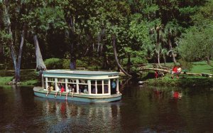Vintage Postcard 1965 Famous Glass Bottom Boats Silver Springs Florida FL