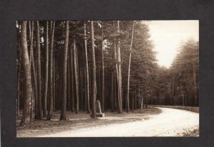 ME Cathedral Pines Forest Trees Eustis Stratton Maine Real Photo RPPC Postcard