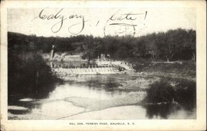 Walhalla North Dakota ND Mill Dam c1910 Vintage Postcard