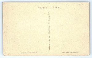 SARATOGA SPRINGS, NY New York ~ RUSTIC FOUNTAIN c1910s Handcolored Postcard