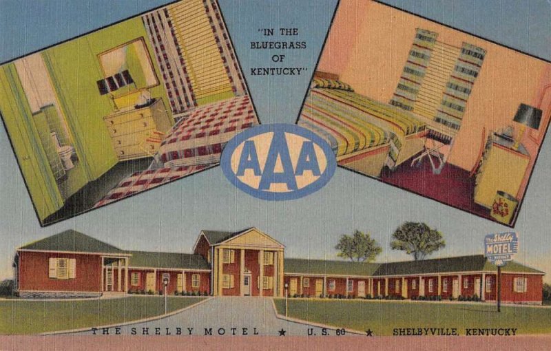 Shelbyville Kentucky The Shelby Motel Linen Vintage Postcard AA39809
