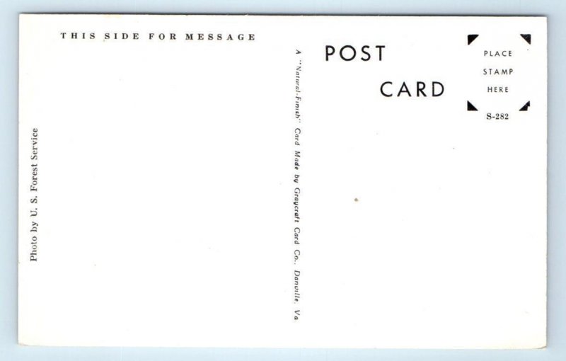 SHERMAN, Texas TX ~ FIRST BAPTIST CHURCH c1930s Grayson County Postcard