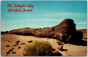 VINTAGE POSTCARD THE OLD FAITHFUL LOG AT THE PETRIFIED FOREST NATIONAL MONUMENT