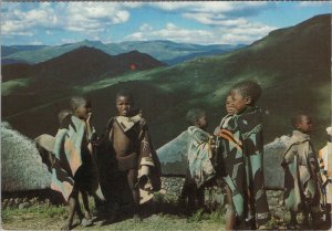 South Africa Postcard - Tribal Life, Group of Basotho Children RR17259