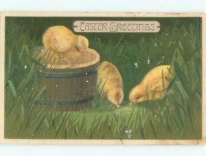 Divided-Back EASTER CHICK SCENE Cute Postcard AA0796