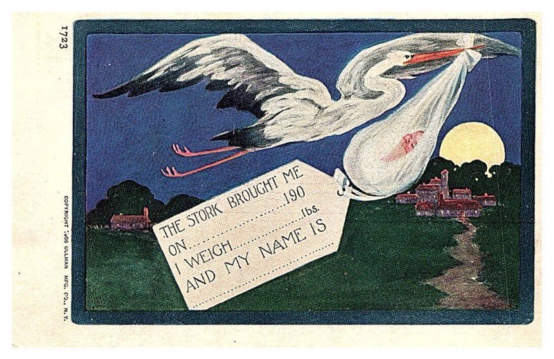 Stork bringing baby