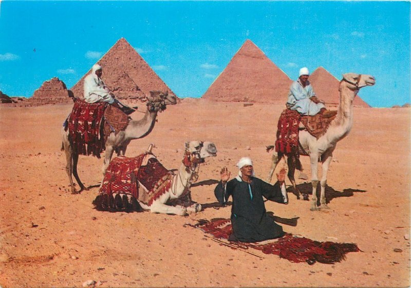 Africa Egypt pyramid bedouin tents caravan camel arid