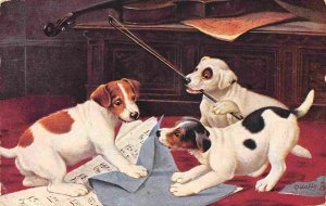 Puppy Dogs Lovers of Music Sheets Violin Tuck 1907 postcard