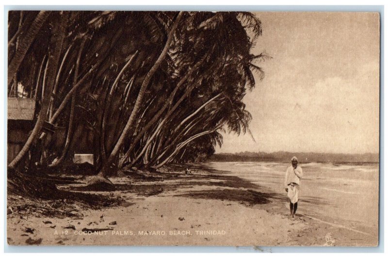 c1910 Coconut Palms Mayaro Beach Trinidad and Tobago Antique Postcard