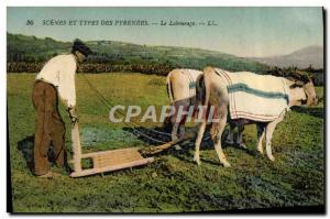 Old Postcard hitch Plowing