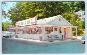 ASHBY, Massachusetts MA ~ Roadside SHELDON RESTAURANT c1950s Postcard