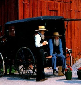 Vintage 1960's Postcard Amish Country Horse & Buggy Pennsylvania