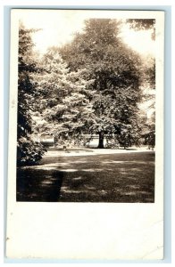 1932 The Beech Tree At Hartford Connecticut CT Vintage RPPC Postcard 