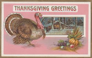 Thanksgiving Greetings from Homer NY, New York - pm 1911 - DB