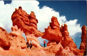 Windows Beside Mossy Cave Trail Bryce National Park Utah Rock Formation C1950 PC
