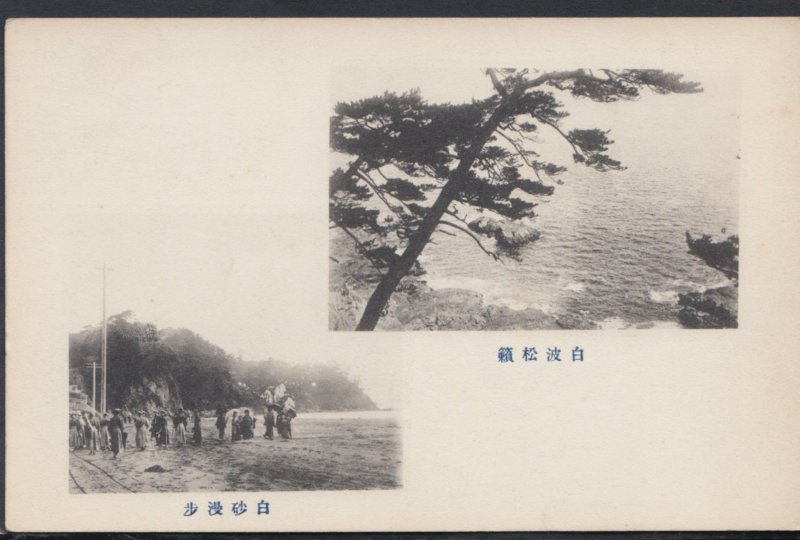 Japan Postcard - Japanese Views   DC2365