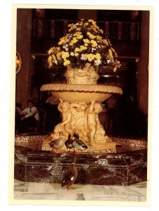 TN - Memphis. Hotel Peabody, Lobby Fountain & Ducks     (continental size)