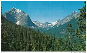 Viewpoint , Cavell Drive , B.C. , Canada , 50-60s