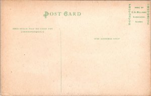 River View near Independence Iowa Postcard CU Williams DB