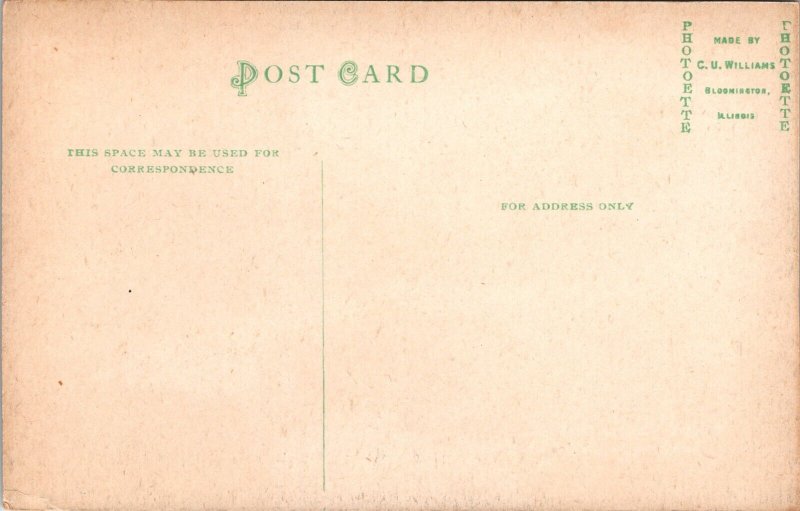 River View near Independence Iowa Postcard CU Williams DB