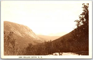 Zealand Notch New Hampshire NH Mountain Real Photo RPPC Antique Postcard