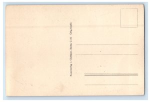 c1940s Panorama View Luckenwalde Germany Unposted Vintage Postcard