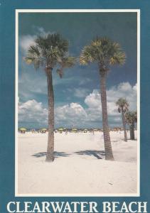 Tropical Palm Trees at Clearwater Beach FL, Florida - pm 1990