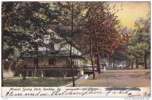 READING, Pennsylvania, PU-1906; Mineral Spring Park