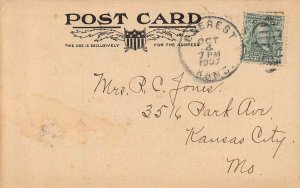 GEE! IT'S GREAT TO BE RICH~MAN SITTING IN A PILE OF COINS MONEY~1907 POSTCARD