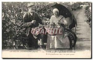 Old Postcard Life Champagne (folklore headdress suit Vine vineyard) TOP