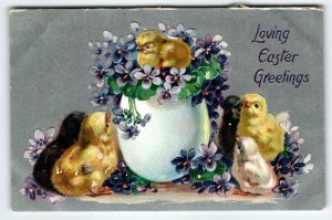 Easter Postcard Baby Chicks Purple Flowers Greetings Tucks Series 701 Antique