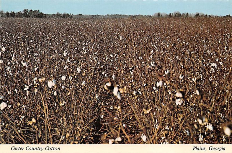 Carter County Cotton, Plains, Georgia  