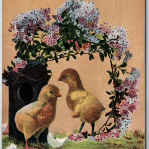 c1910s Easter Greetings Cute Baby Chick Hatched Egg Lilac Flower Postcard A196