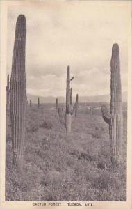 Arizona Tucson Cactus Forest Albertype